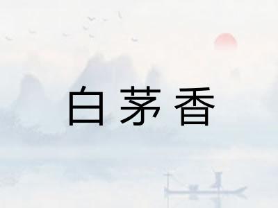 白茅香