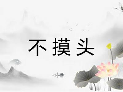不摸头