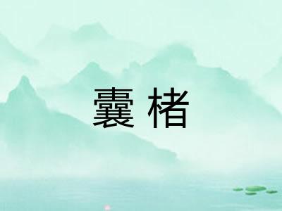 囊楮