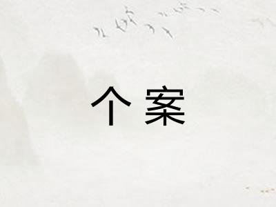 个案