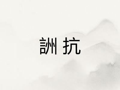 詶抗