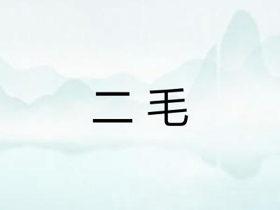 二毛