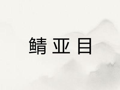 鲭亚目