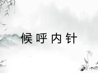 候呼内针