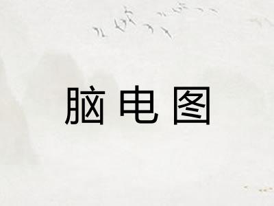 脑电图