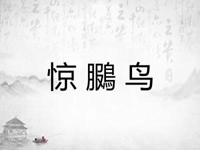 惊鵩鸟