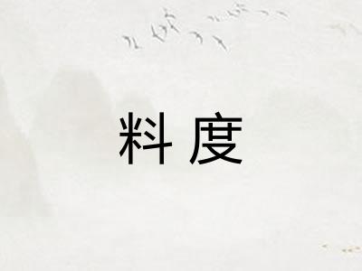 料度