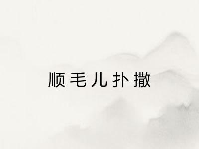 顺毛儿扑撒