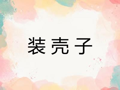 装壳子