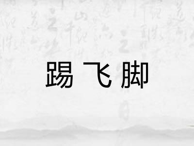 踢飞脚