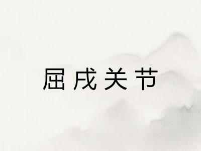 屈戌关节