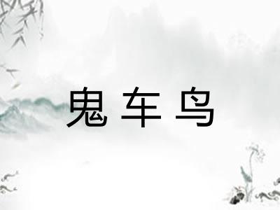 鬼车鸟