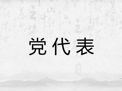 党代表
