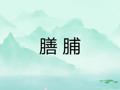 膳脯
