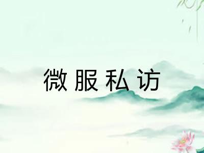 微服私访