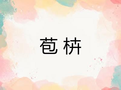 苞枿