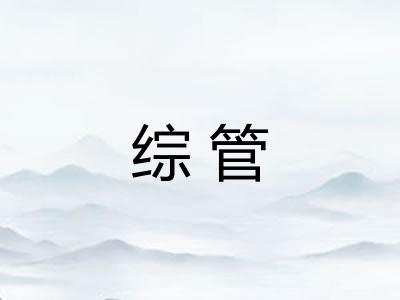 综管