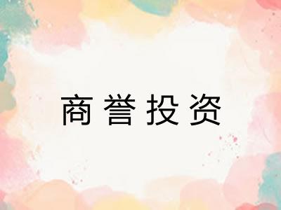商誉投资