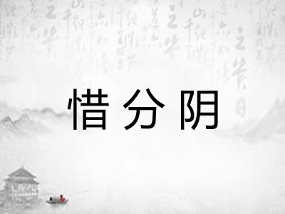 惜分阴