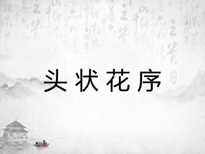 头状花序