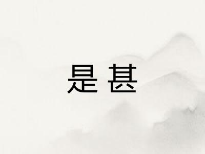 是甚