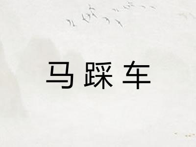 马踩车