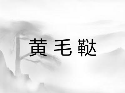 黄毛鞑