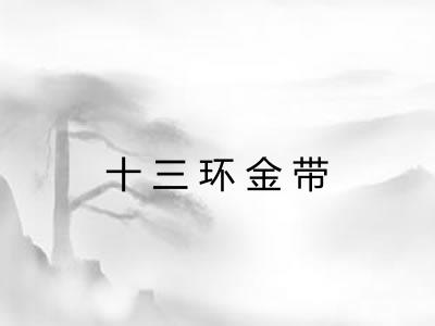 十三环金带