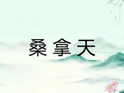 桑拿天