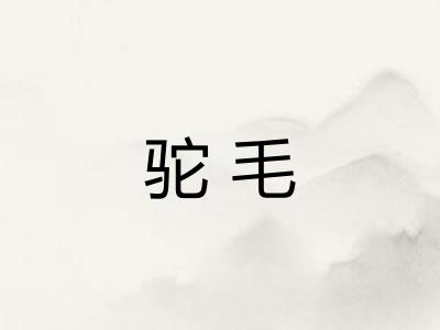 驼毛