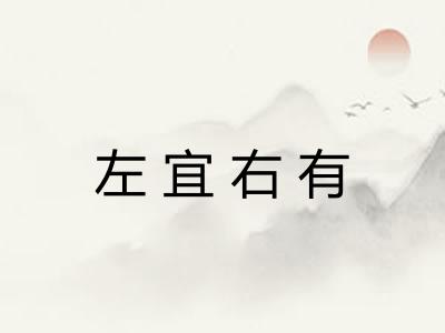 左宜右有