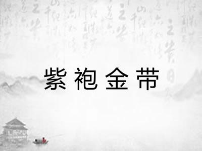 紫袍金带