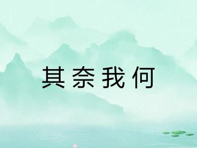 其奈我何