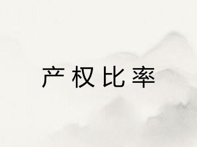 产权比率