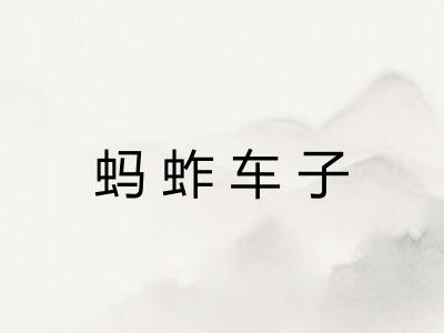 蚂蚱车子
