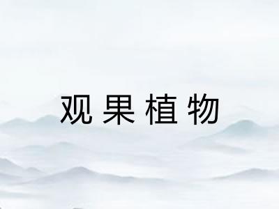 观果植物