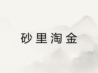 砂里淘金