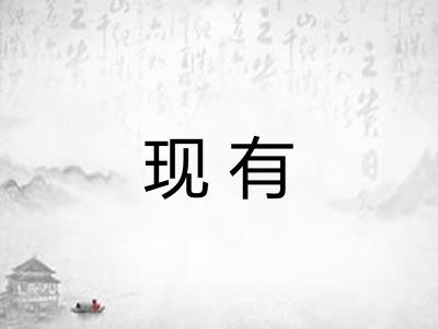 现有
