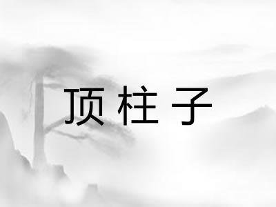 顶柱子