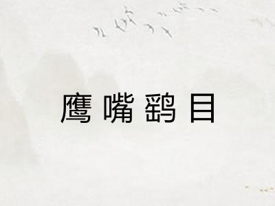 鹰嘴鹞目