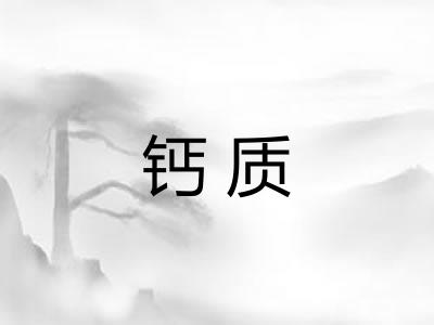 钙质
