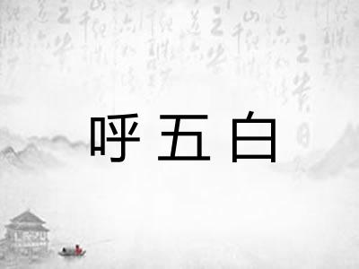 呼五白
