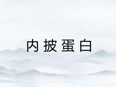 内披蛋白