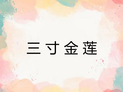 三寸金莲