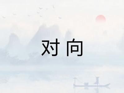 对向