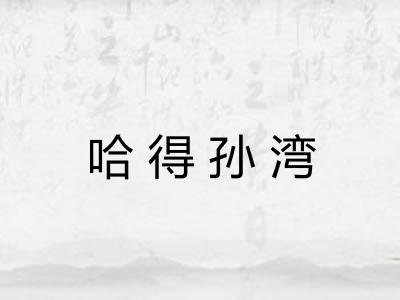 哈得孙湾