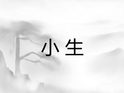 小生