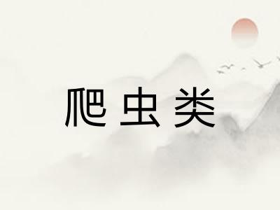 爬虫类