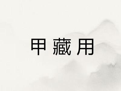 甲藏用