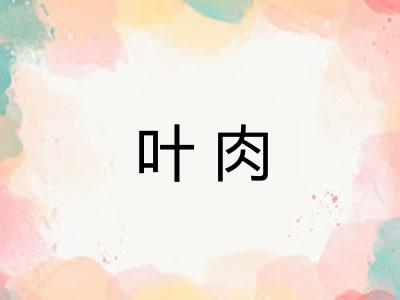 叶肉